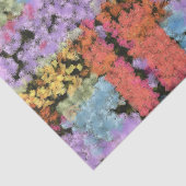 Papier Mousseline Peinture forme texture (Détail)