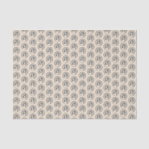 Papier Mousseline Peinture Havanaise (Gold Sable) - Art Chien origin