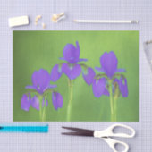 Papier Mousseline Peinture Iris Violet - Art Fleur Originale (Artisanat)