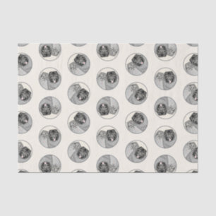 Papier Mousseline Peinture Keeshond 2 Keeshonden Original Chien Art