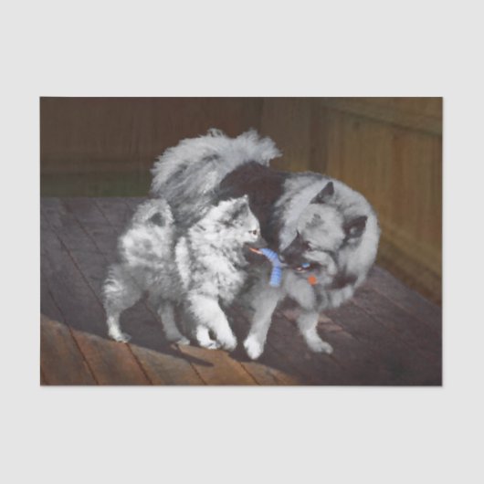 Papier Mousseline Peinture Keeshond Playtime - Jolie art original ch (Recto)