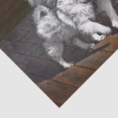 Papier Mousseline Peinture Keeshond Playtime - Jolie art original ch (Détail)