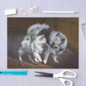 Papier Mousseline Peinture Keeshond Playtime - Jolie art original ch (Artisanat)