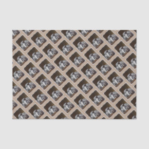 Papier Mousseline Peinture Keeshond Playtime - Jolie art original ch