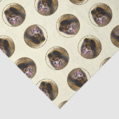 Papier Mousseline Peinture Poméranienne Orange Sable Original Chien  (Détail)