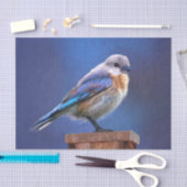 Papier Mousseline Peinture pour oiseaux bleus (femelle) - Art origin (Artisanat)