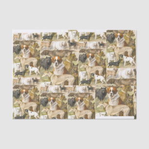 Papier Mousseline peinture vintage pour chiens