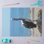 Papier Mousseline Pelican Avec Le "Look", (Artisanat)