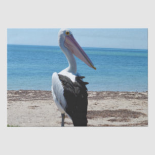 Papier Mousseline Pelican Perché Sur Un Rocher De Plage,