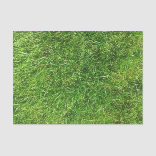 Papier Mousseline Pelouse d'été (Recto)