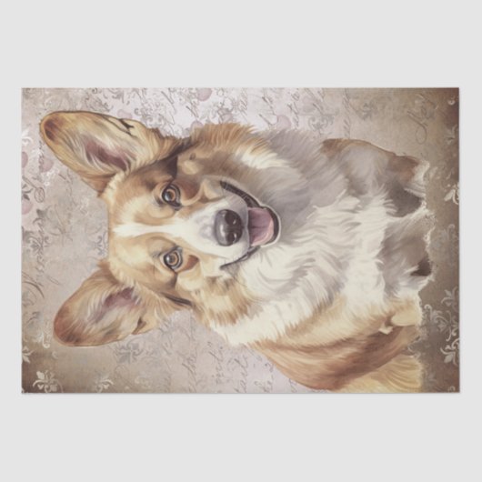Papier Mousseline Pembroke Welsh Corgi Chien (Recto)