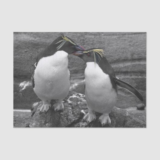 Papier Mousseline Penguin Colour Splash (Recto)