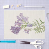 Papier Mousseline Pentétrine violette par Mary Vaux Walcott (Artisanat)