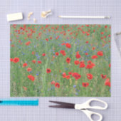 Papier Mousseline Pépites dans un Cornfield (Artisanat)