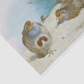 Papier Mousseline perdrix anglaise avec gorges et chardons, Art (Détail)