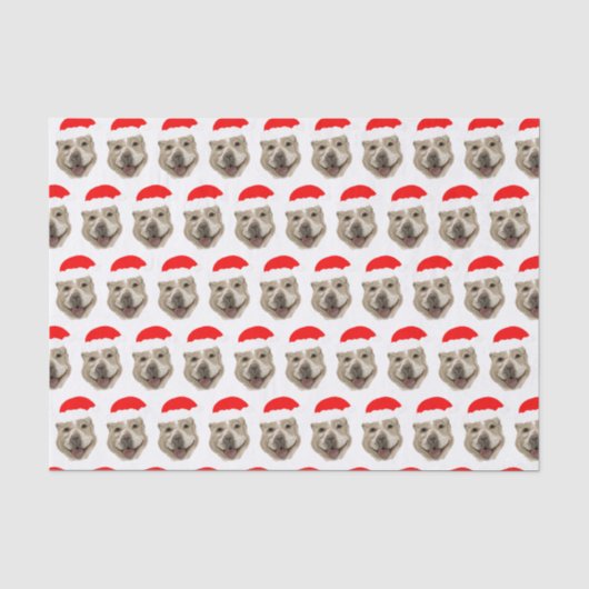 Papier Mousseline Père Noël Buddy (Recto)