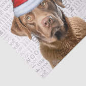 Papier Mousseline Père Noël Chesapeake Bay Chien Festif Noël (Détail)