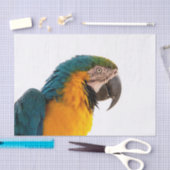 Papier Mousseline Perroquet (Artisanat)