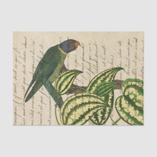 Papier Mousseline Perroquet tropical vintage (Recto)