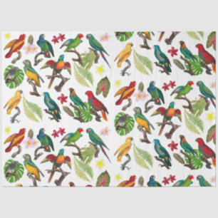 Papier Mousseline Perroquets tropicaux colorés, Feuilles et fleurs