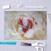 Papier Mousseline Pétales de pivoines (Artisanat)