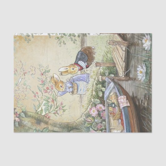 Papier Mousseline Peter Rabbit 11 (Recto)