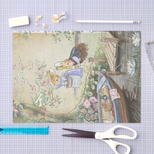 Papier Mousseline Peter Rabbit 11 (Artisanat)