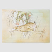 Papier Mousseline Peter Rabbit 2 Papier papier (Recto)