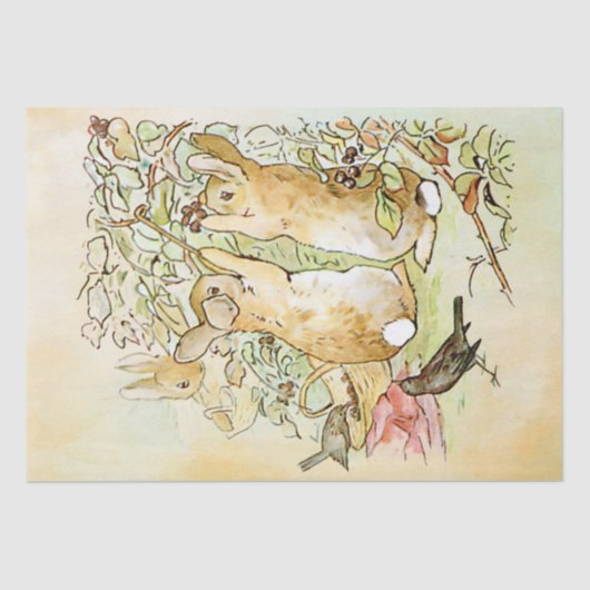 Papier Mousseline Peter Rabbit 3 Papier papier (Recto)