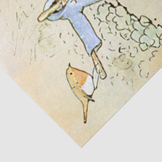 Papier Mousseline Peter Rabbit 5 Papier papier (Détail)