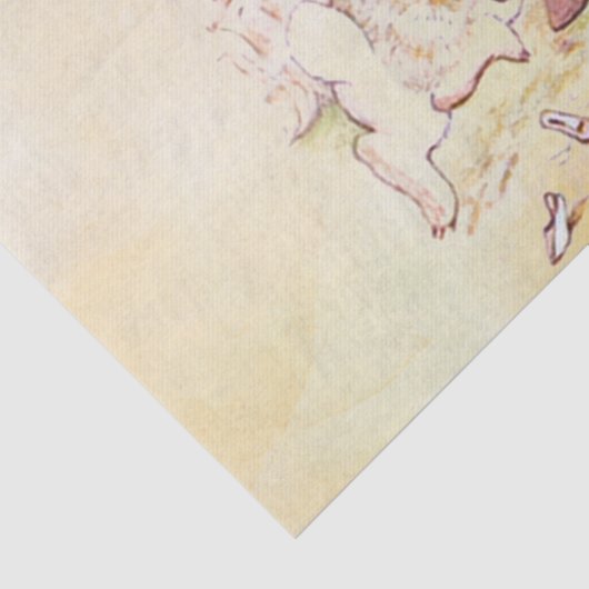 Papier Mousseline Peter Rabbit 9 Papier papier (Détail)