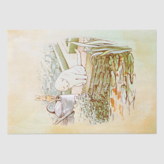 Papier Mousseline Peter Rabbit (chat) Papier de tissus (Recto)