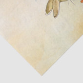 Papier Mousseline Peter Rabbit (chaussure) Tissu Papier (Détail)