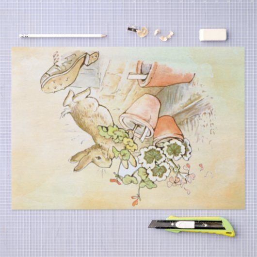 Papier Mousseline Peter Rabbit (chaussure) Tissu Papier (Artisanat)