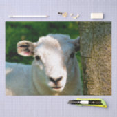 PAPIER MOUSSELINE PETIT MOQUETTE (Artisanat)