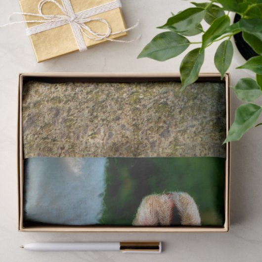 PAPIER MOUSSELINE PETIT MOQUETTE (Cadeau)