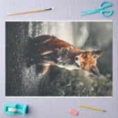 Papier Mousseline Petit renard (Artisanat)