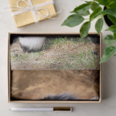 PAPIER MOUSSELINE PETITE CHÈQUE CUITE (Cadeau)