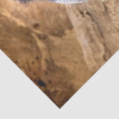 PAPIER MOUSSELINE PETITE CHÈQUE CUITE (Détail)