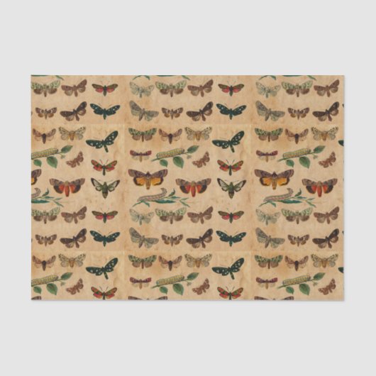 Papier Mousseline Petites papillons vintages - Découpage papier tend (Recto)