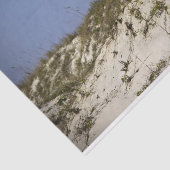 Papier Mousseline Phare Ponce Inlet Blue Sky Beach Paysage (Détail)