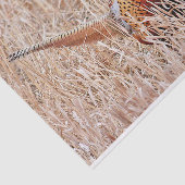 Papier Mousseline Pheasant à cou cerf (Détail)