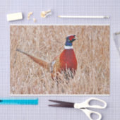 Papier Mousseline Pheasant à cou cerf (Artisanat)