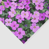 Papier Mousseline Phlox rose (Détail)
