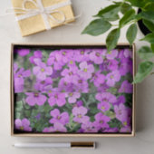Papier Mousseline Phlox rose (Cadeau)