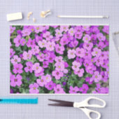Papier Mousseline Phlox rose (Artisanat)