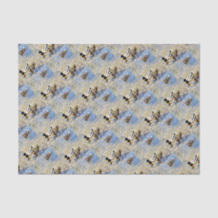 Papier Mousseline Photo Canards