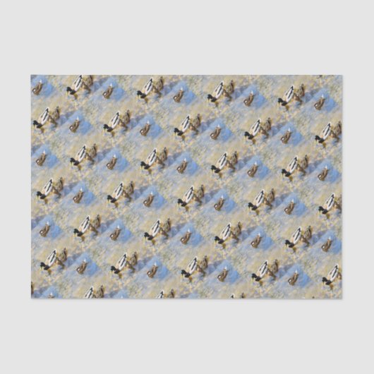 Papier Mousseline Photo Canards (Recto)