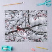 Papier Mousseline Photo Cardinal Arbre à Neige (Artisanat)