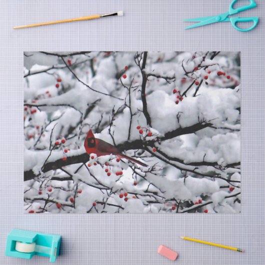 Papier Mousseline Photo Cardinal Arbre à Neige (Artisanat)